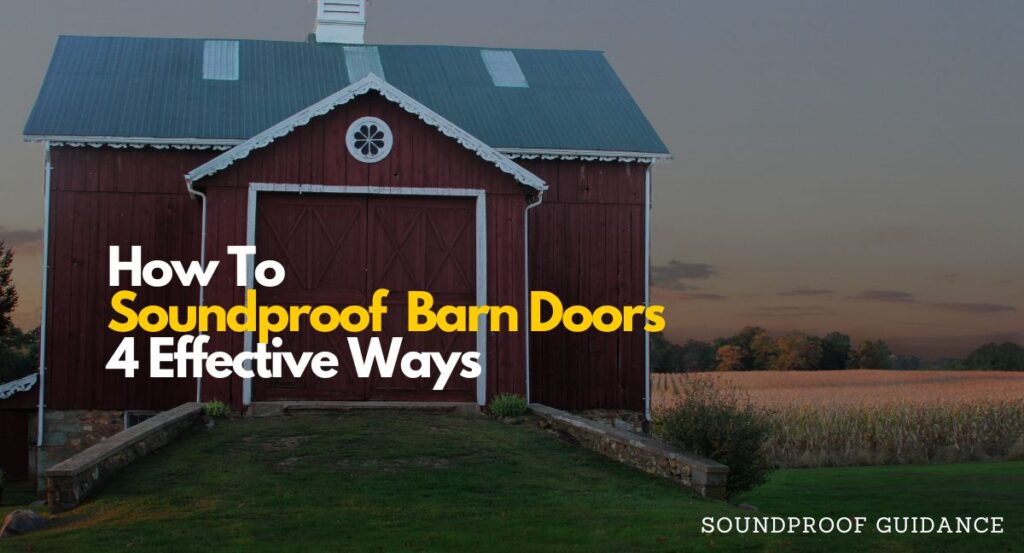 soundproof barn door